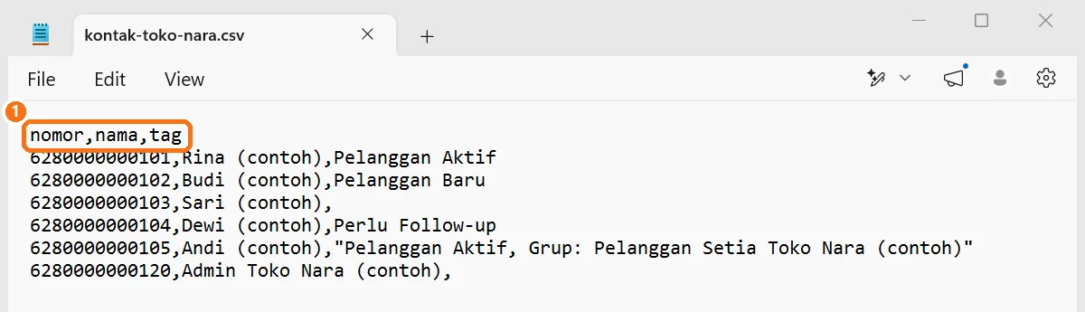 Kontak dengan tag setelah impor